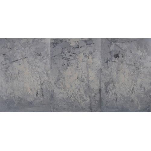 藤蔓舒影之十三